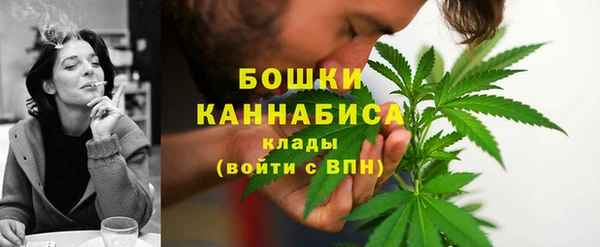 амф Каменка