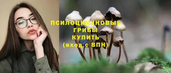 мяу мяу кристалл Инта
