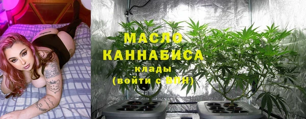 гашик Каменногорск