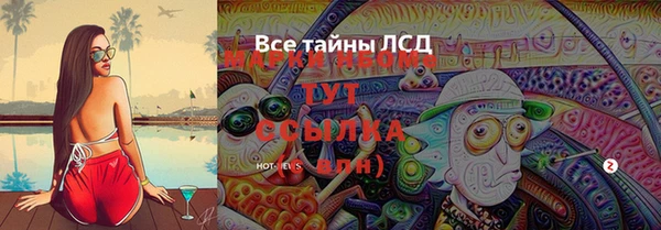 амф Каменка